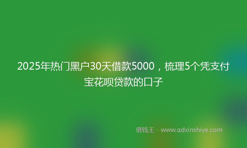 2025年热门黑户30天借款5000，梳理5个凭支付宝花呗贷款的口子