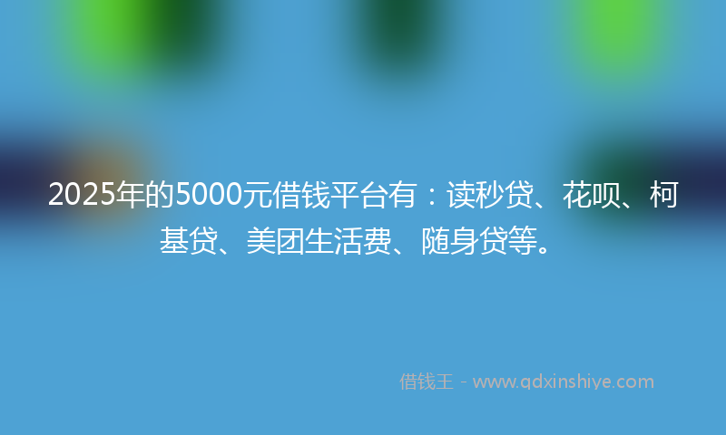 2025年的5000元借钱平台有：读秒贷、花呗、柯基贷、美团生活费、随身贷等。