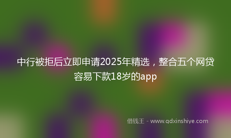 中行被拒后立即申请2025年精选，整合五个网贷容易下款18岁的app