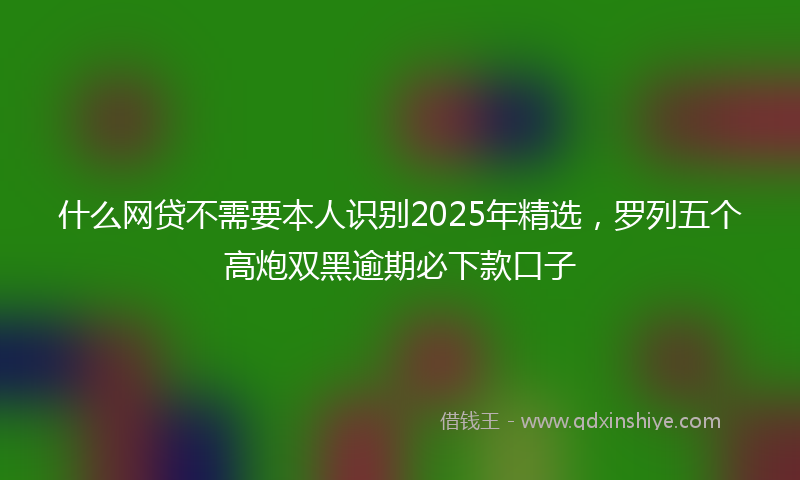 什么网贷不需要本人识别2025年精选，罗列五个高炮双黑逾期必下款口子