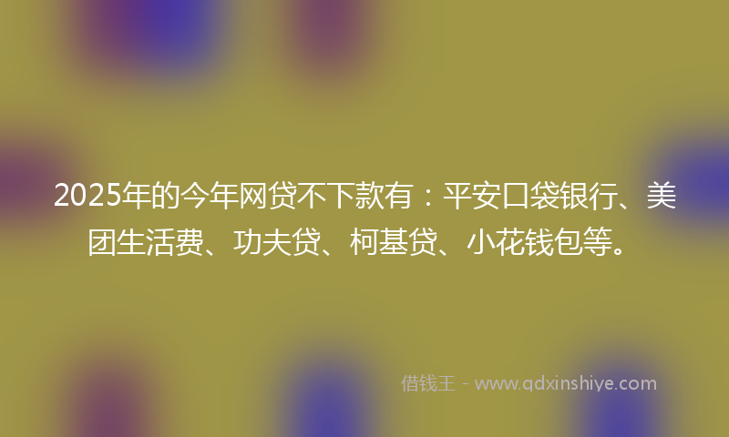 2025年的今年网贷不下款有：平安口袋银行、美团生活费、功夫贷、柯基贷、小花钱包等。