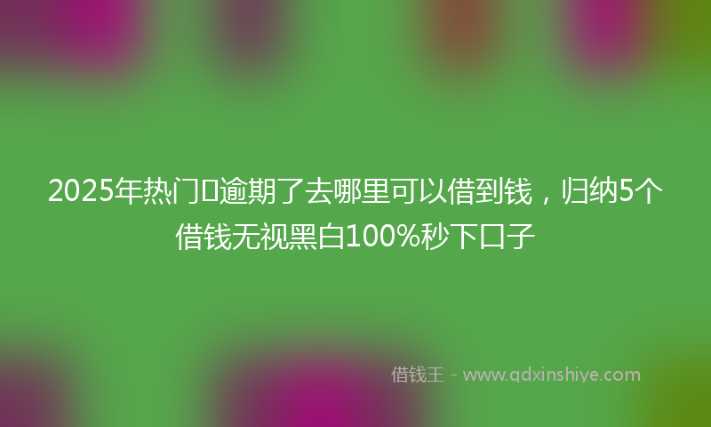 2025年热门﻿逾期了去哪里可以借到钱，归纳5个借钱无视黑白100%秒下口子