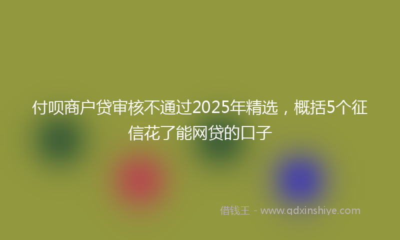 付呗商户贷审核不通过2025年精选，概括5个征信花了能网贷的口子
