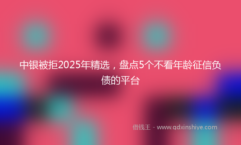 中银被拒2025年精选，盘点5个不看年龄征信负债的平台