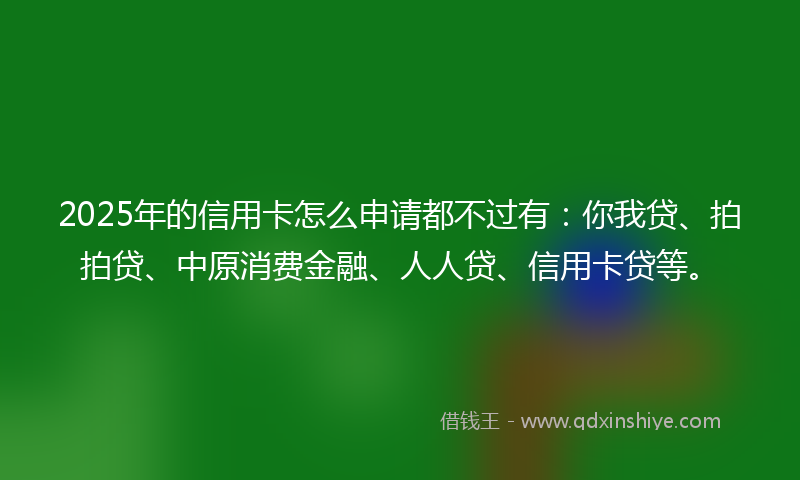 2025年的信用卡怎么申请都不过有：你我贷、拍拍贷、中原消费金融、人人贷、信用卡贷等。