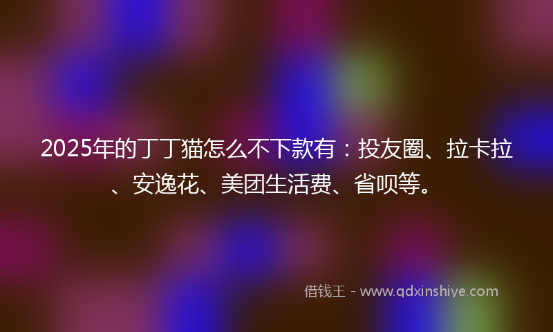 2025年的丁丁猫怎么不下款有：投友圈、拉卡拉、安逸花、美团生活费、省呗等。