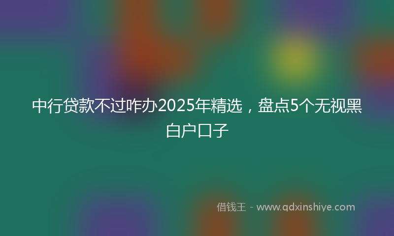 中行贷款不过咋办2025年精选，盘点5个无视黑白户口子