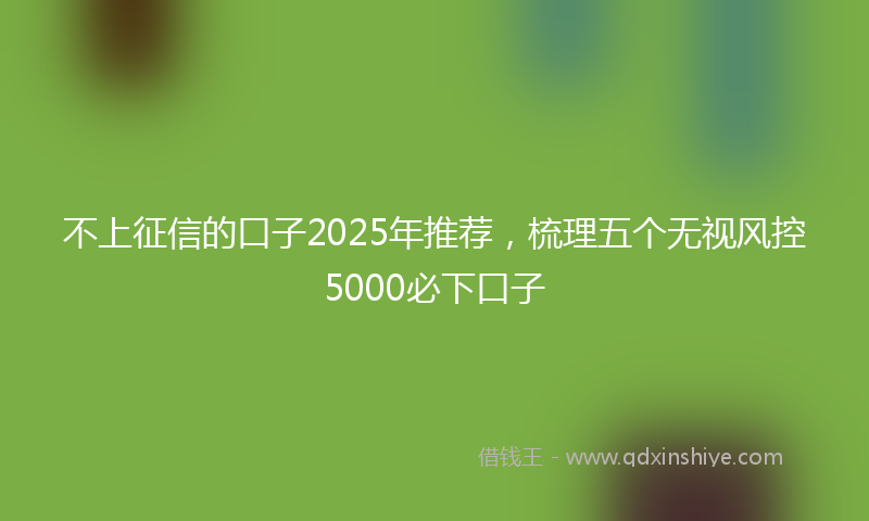不上征信的口子2025年推荐，梳理五个无视风控5000必下口子