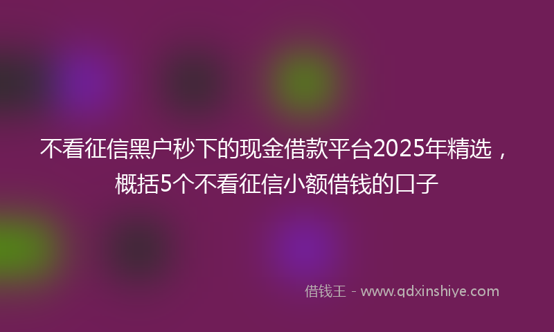 不看征信黑户秒下的现金借款平台2025年精选，概括5个不看征信小额借钱的口子