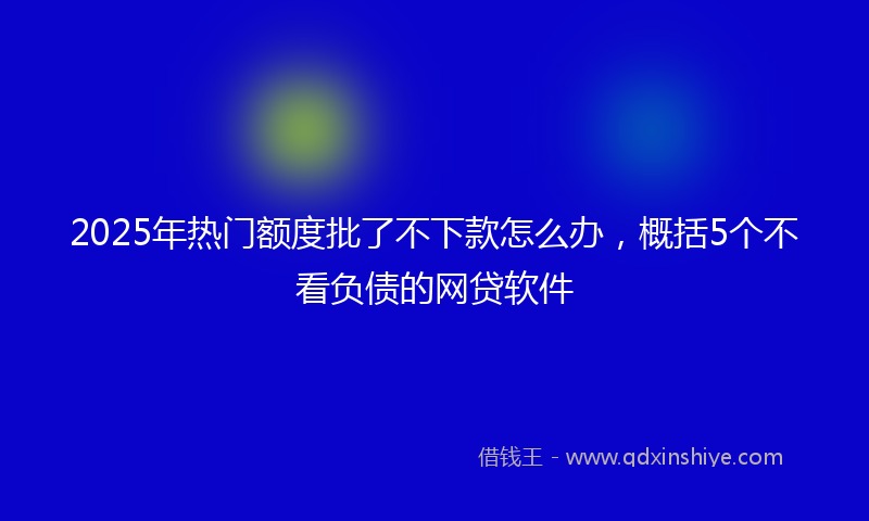 2025年热门额度批了不下款怎么办，概括5个不看负债的网贷软件