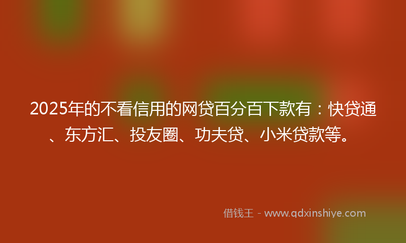 2025年的不看信用的网贷百分百下款有：快贷通、东方汇、投友圈、功夫贷、小米贷款等。