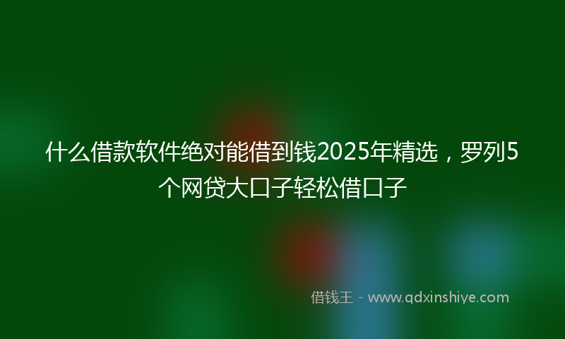 什么借款软件绝对能借到钱2025年精选，罗列5个网贷大口子轻松借口子