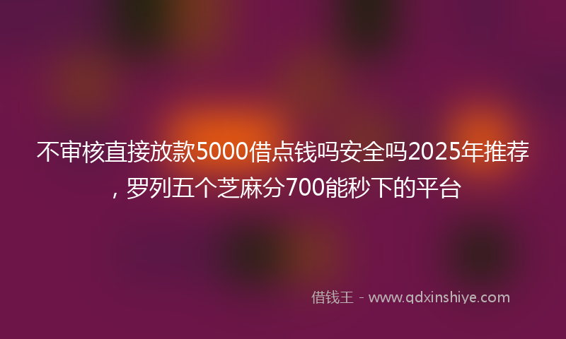 不审核直接放款5000借点钱吗安全吗2025年推荐，罗列五个芝麻分700能秒下的平台