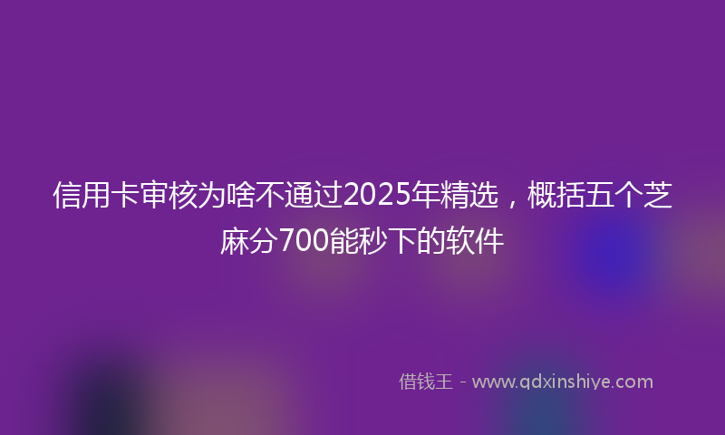信用卡审核为啥不通过2025年精选,概括五个芝麻分700能秒下的软件
