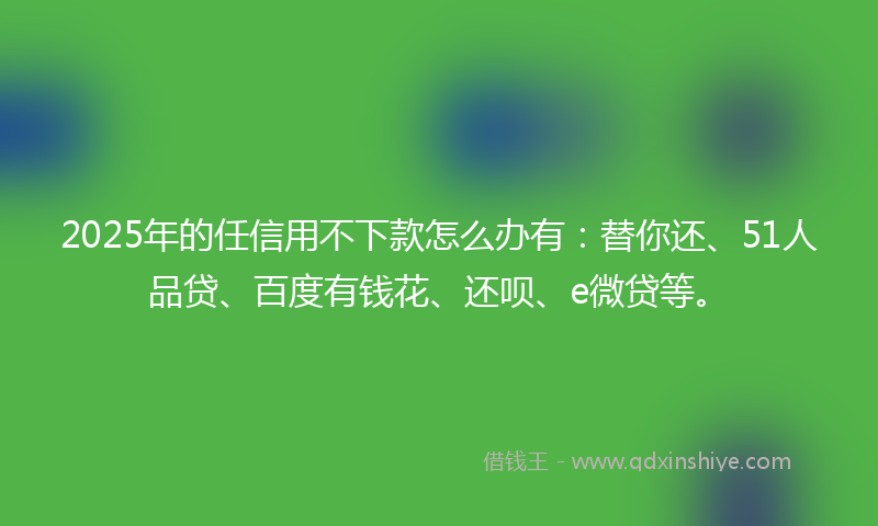 2025年的任信用不下款怎么办有：替你还、51人品贷、百度有钱花、还呗、e微贷等。
