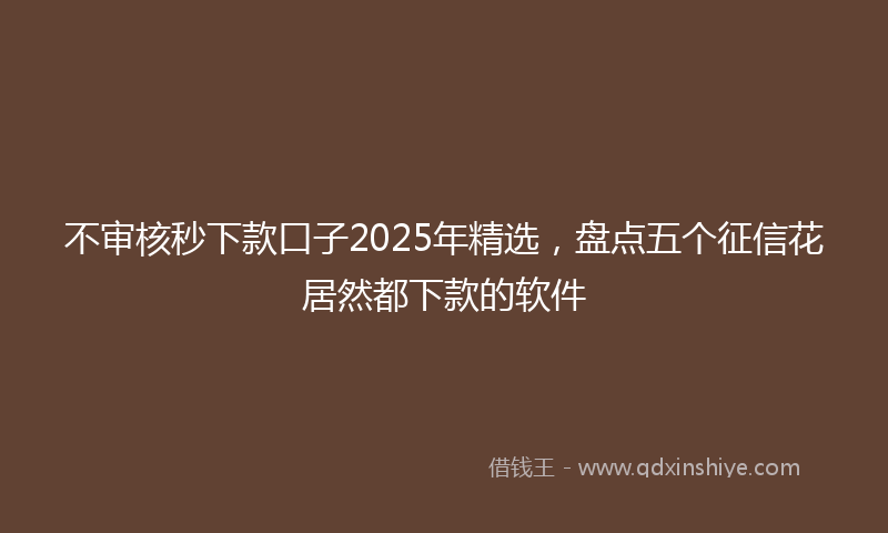 不审核秒下款口子2025年精选，盘点五个征信花居然都下款的软件