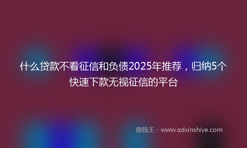 什么贷款不看征信和负债2025年推荐，归纳5个快速下款无视征信的平台