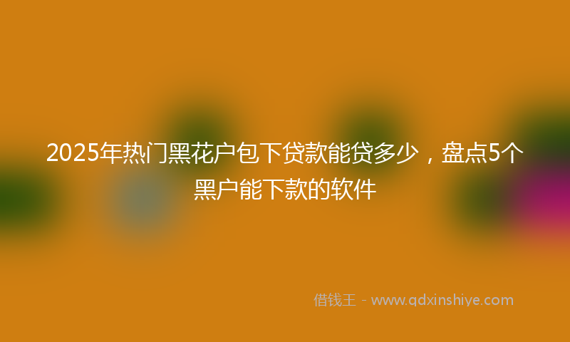 2025年热门黑花户包下贷款能贷多少，盘点5个黑户能下款的软件