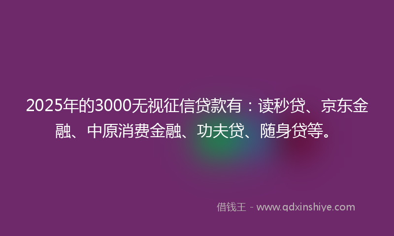 2025年的3000无视征信贷款有：读秒贷、京东金融、中原消费金融、功夫贷、随身贷等。