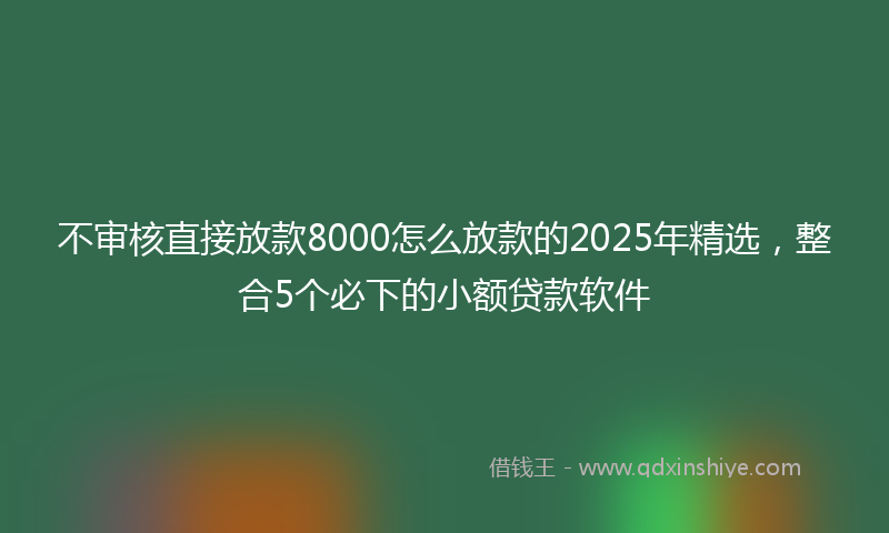不审核直接放款8000怎么放款的2025年精选，整合5个必下的小额贷款软件