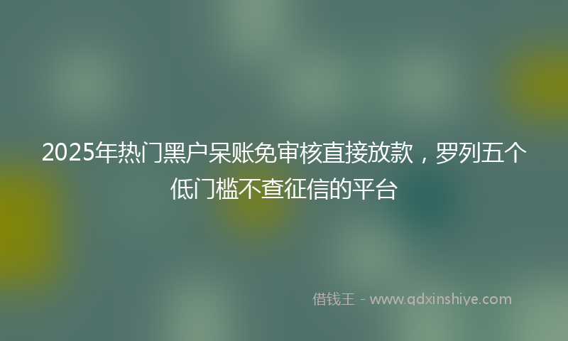 2025年热门黑户呆账免审核直接放款，罗列五个低门槛不查征信的平台