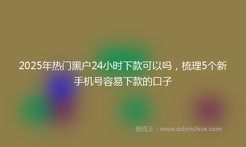 2025年热门黑户24小时下款可以吗，梳理5个新手机号容易下款的口子