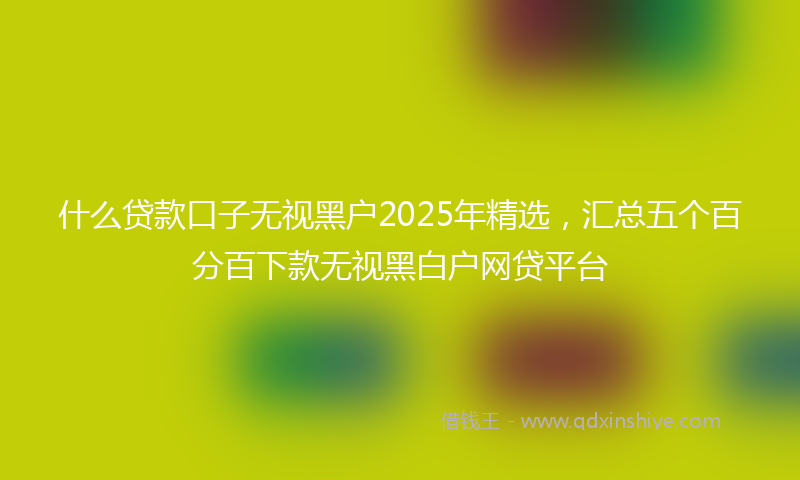 什么贷款口子无视黑户2025年精选，汇总五个百分百下款无视黑白户网贷平台