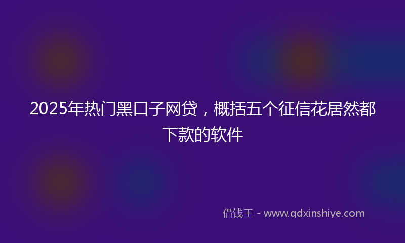 2025年热门黑口子网贷，概括五个征信花居然都下款的软件