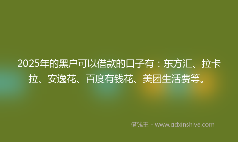 2025年的黑户可以借款的口子有：东方汇、拉卡拉、安逸花、百度有钱花、美团生活费等。
