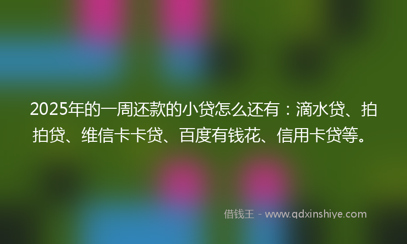 2025年的一周还款的小贷怎么还有：滴水贷、拍拍贷、维信卡卡贷、百度有钱花、信用卡贷等。