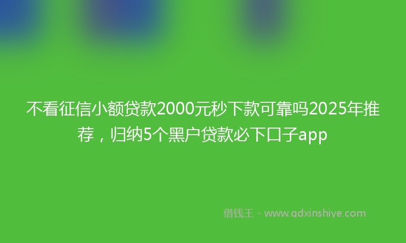 不看征信小额贷款2000元秒下款可靠吗2025年推荐，归纳5个黑户贷款必下口子app