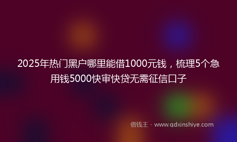 2025年热门黑户哪里能借1000元钱，梳理5个急用钱5000快审快贷无需征信口子