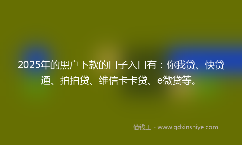 2025年的黑户下款的口子入口有：你我贷、快贷通、拍拍贷、维信卡卡贷、e微贷等。