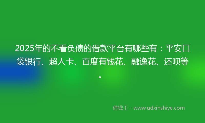 2025年的不看负债的借款平台有哪些有：平安口袋银行、超人卡、百度有钱花、融逸花、还呗等。