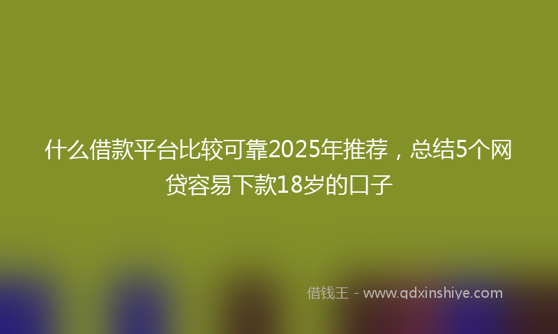 什么借款平台比较可靠2025年推荐，总结5个网贷容易下款18岁的口子