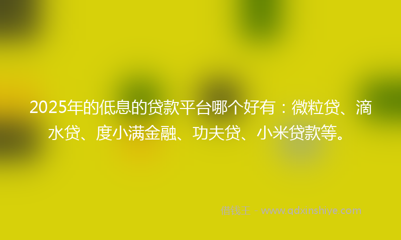 2025年的低息的贷款平台哪个好有：微粒贷、滴水贷、度小满金融、功夫贷、小米贷款等。