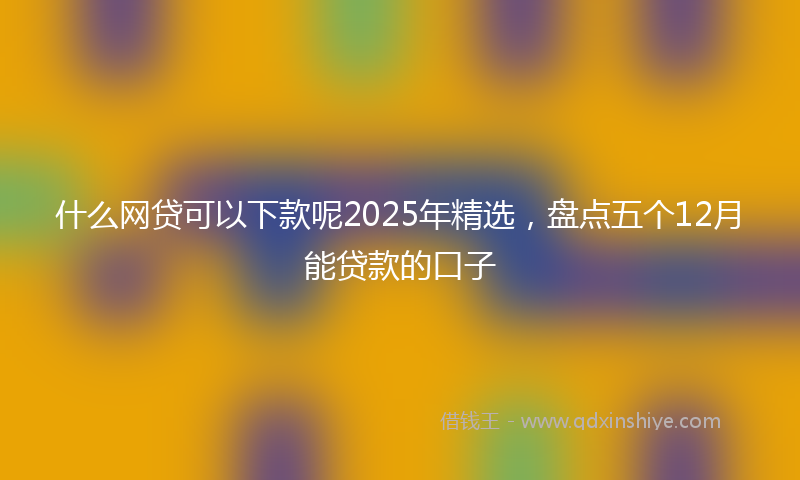 什么网贷可以下款呢2025年精选，盘点五个12月能贷款的口子
