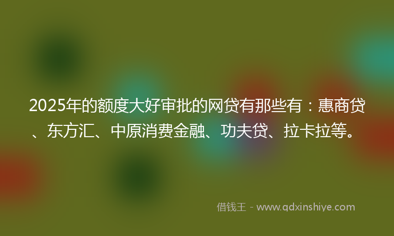 2025年的额度大好审批的网贷有那些有：惠商贷、东方汇、中原消费金融、功夫贷、拉卡拉等。
