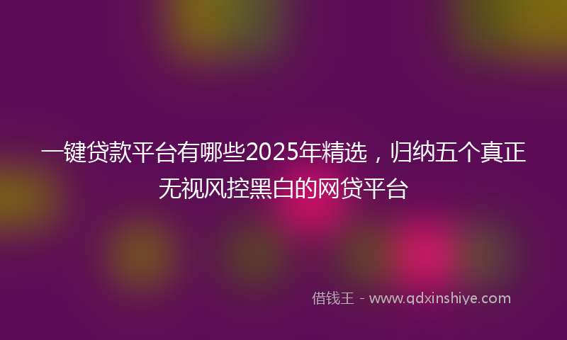 一键贷款平台有哪些2025年精选，归纳五个真正无视风控黑白的网贷平台