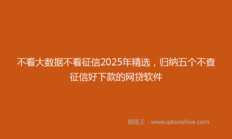 不看大数据不看征信2025年精选，归纳五个不查征信好下款的网贷软件