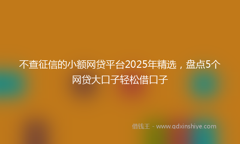 不查征信的小额网贷平台2025年精选，盘点5个网贷大口子轻松借口子