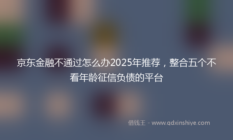 京东金融不通过怎么办2025年推荐，整合五个不看年龄征信负债的平台