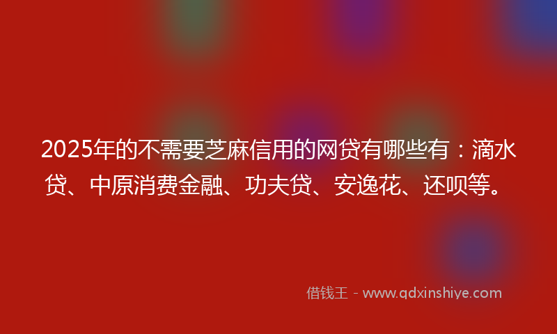 2025年的不需要芝麻信用的网贷有哪些有：滴水贷、中原消费金融、功夫贷、安逸花、还呗等。