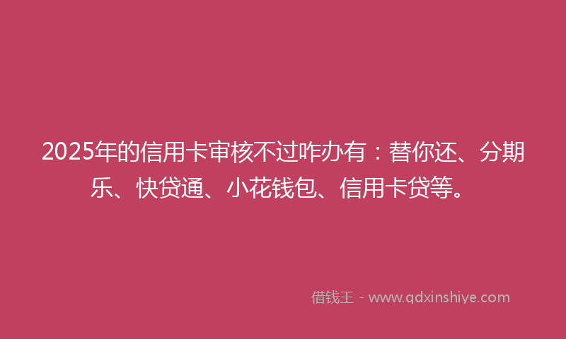 2025年的信用卡审核不过咋办有：替你还、分期乐、快贷通、小花钱包、信用卡贷等。