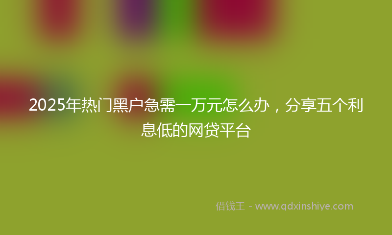 2025年热门黑户急需一万元怎么办，分享五个利息低的网贷平台