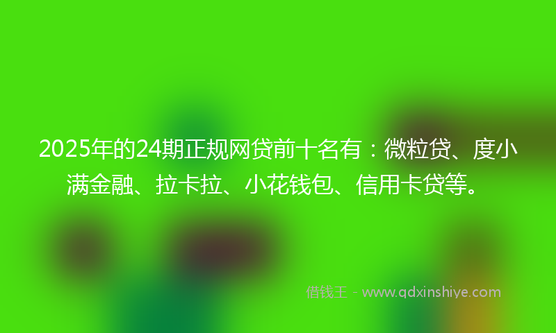 2025年的24期正规网贷前十名有：微粒贷、度小满金融、拉卡拉、小花钱包、信用卡贷等。