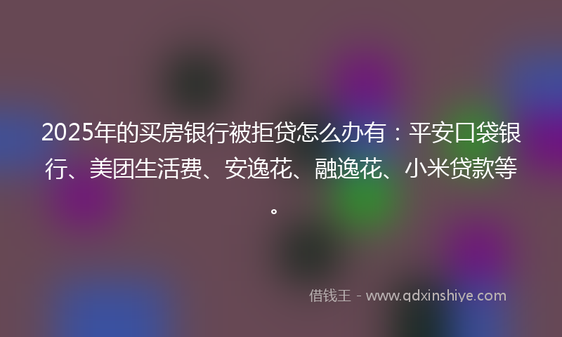 2025年的买房银行被拒贷怎么办有：平安口袋银行、美团生活费、安逸花、融逸花、小米贷款等。