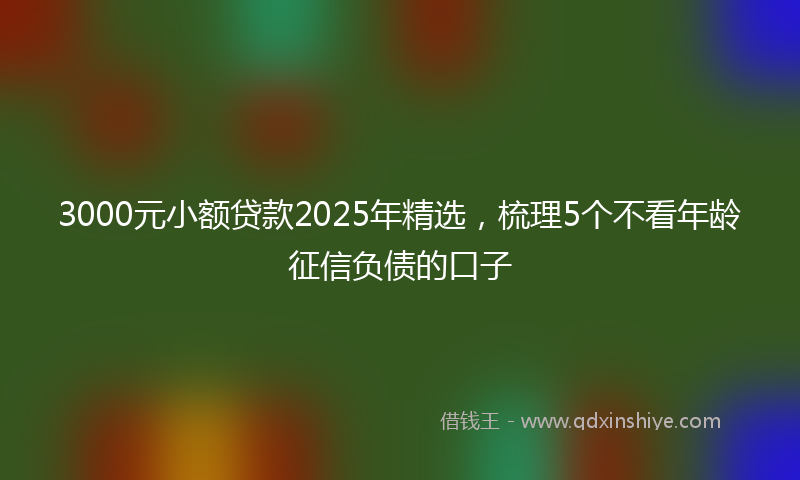 3000元小额贷款2025年精选，梳理5个不看年龄征信负债的口子