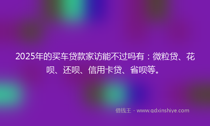 2025年的买车贷款家访能不过吗有：微粒贷、花呗、还呗、信用卡贷、省呗等。