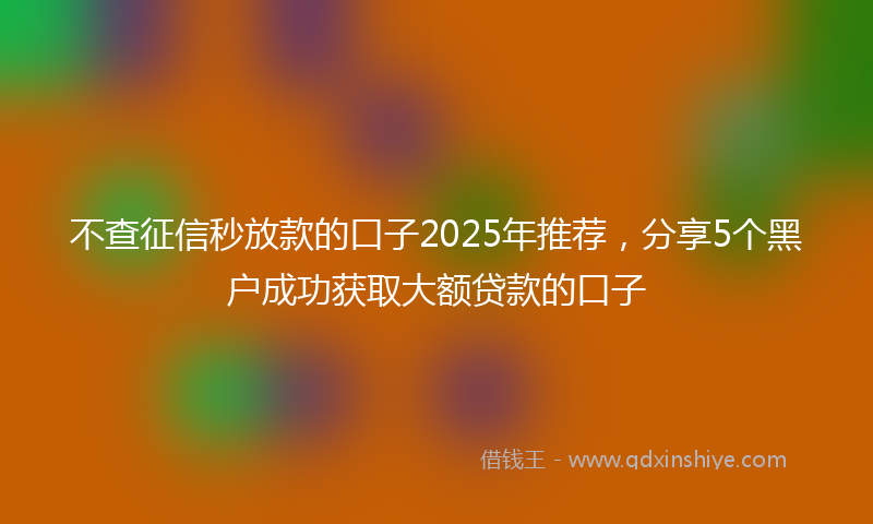 不查征信秒放款的口子2025年推荐，分享5个黑户成功获取大额贷款的口子